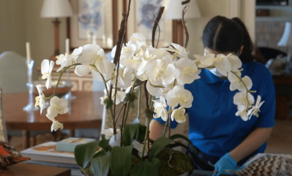 luxury cleaning experience