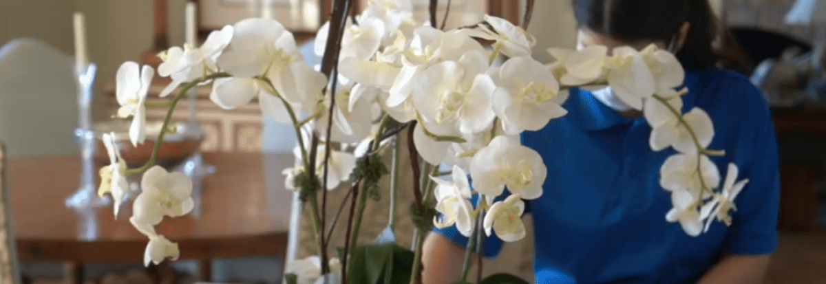 luxury cleaning experience